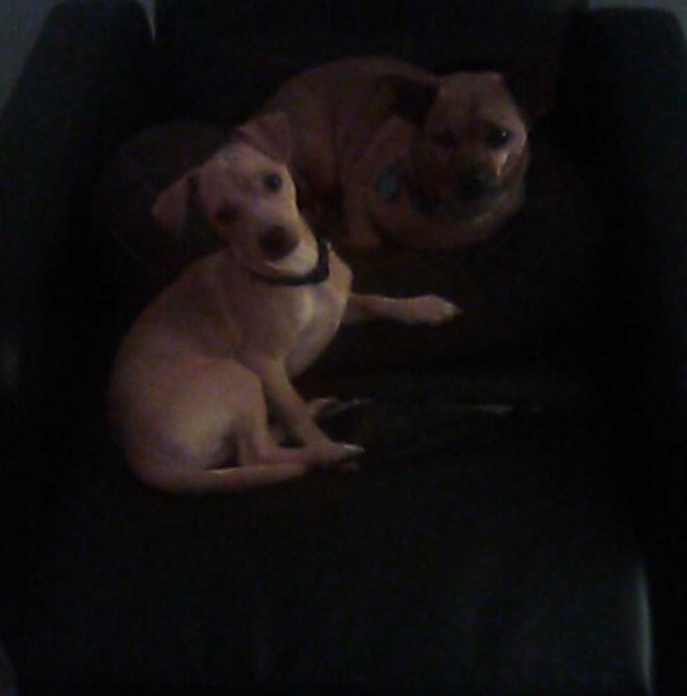 Meet your Posher, Karen